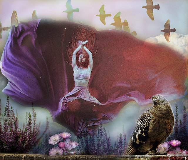 通过多视角 通过多视角