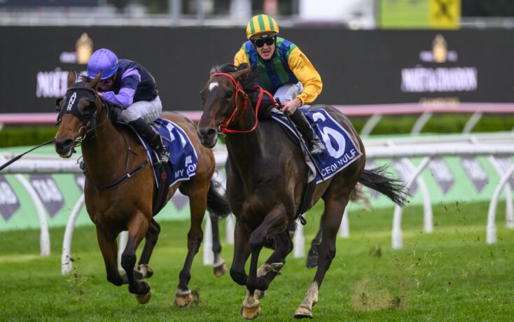 赛事的选择 赛事的选择